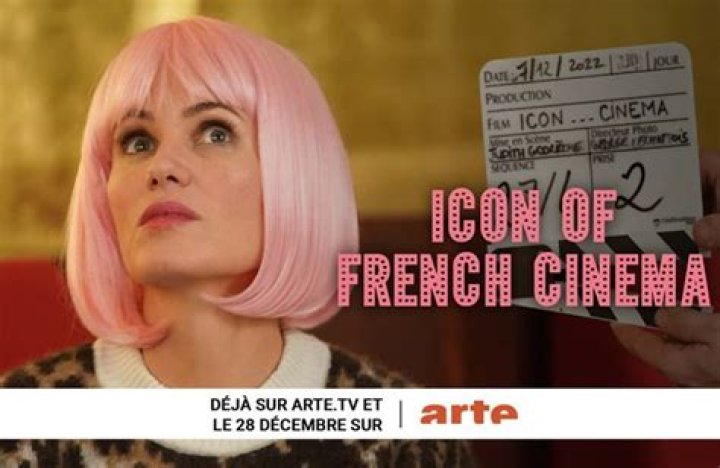Bérénice Marlohe: The Rising Star of French Cinema