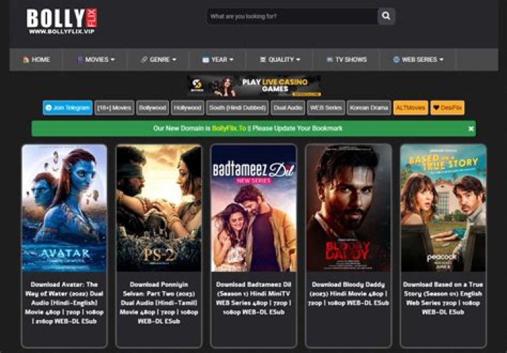 Bollyflix.to: Your Ultimate Guide to Streaming Bollywood Content