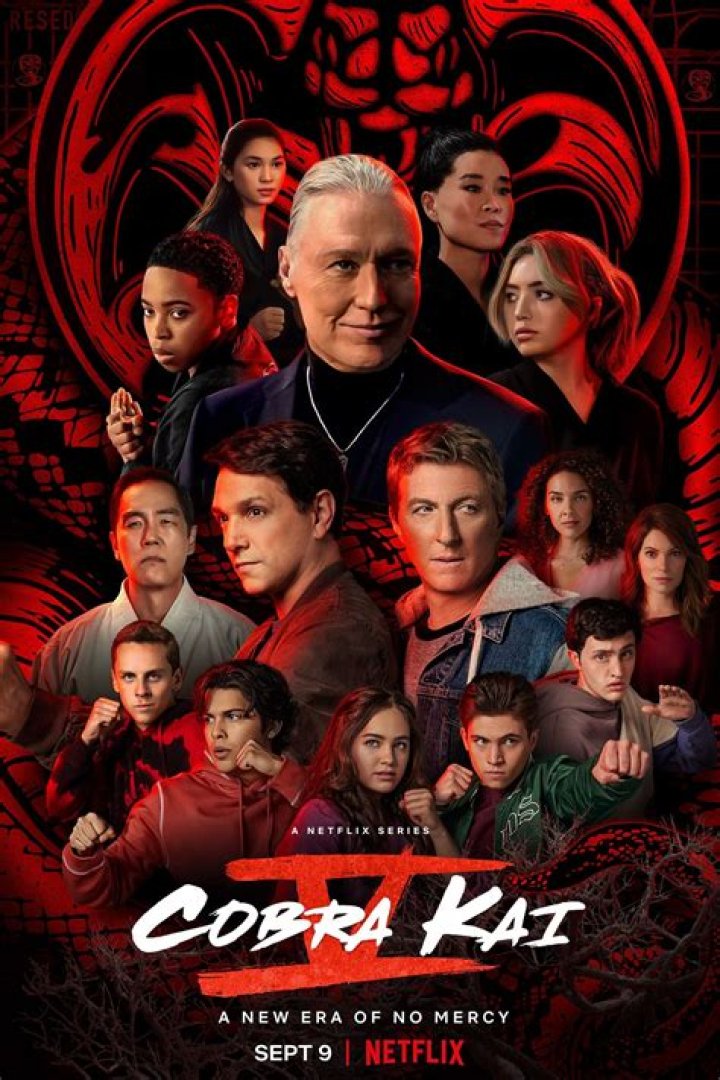 Cobra Kai Season 6 Episode 1: What to Expect