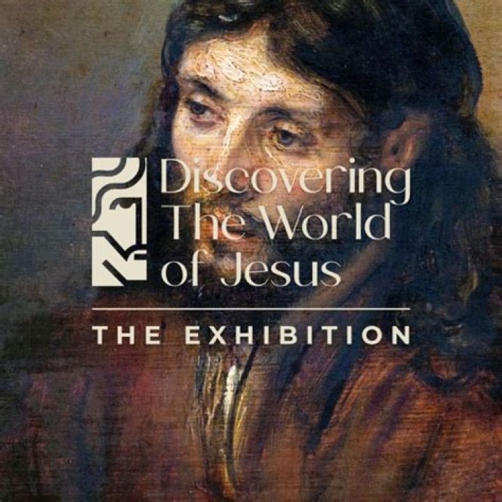 Discovering the World of Viga.in: A Unique Online Experience