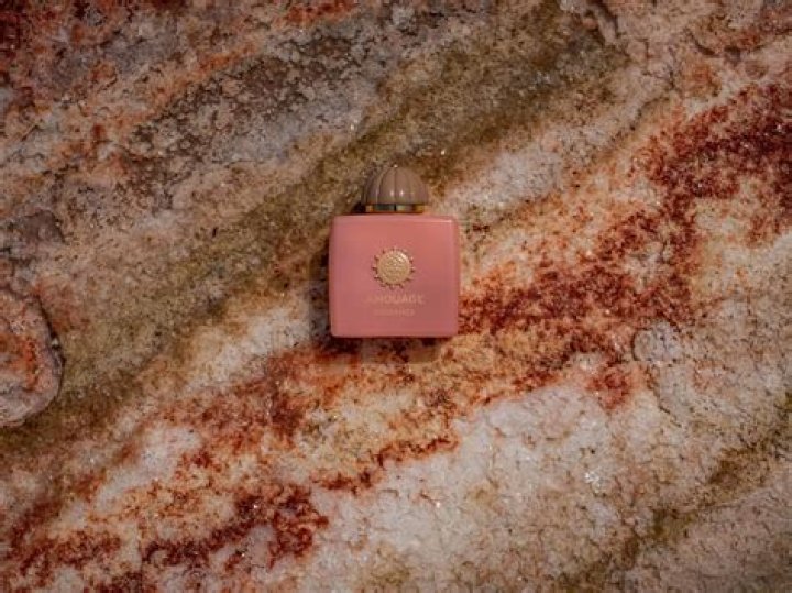 Exploring the Allure of CrazyJamJam Nude: A Deep Dive into the Phenomenon