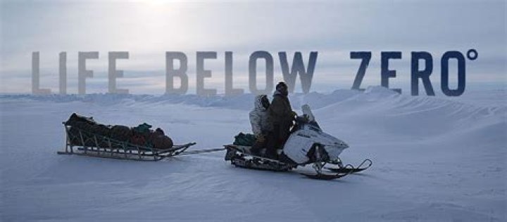 Life Below Zero: Surviving the Harsh Realities of the Arctic