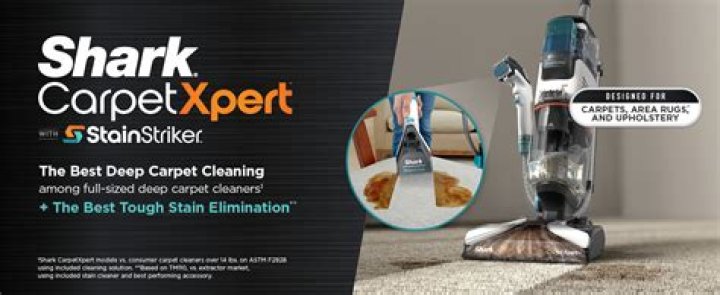 Shark Carpet Expert: The Ultimate Guide to Understanding and Maintaining Your Shark Carpet
