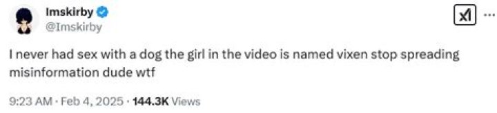 The Hilarious and Original Skirby Dog Video