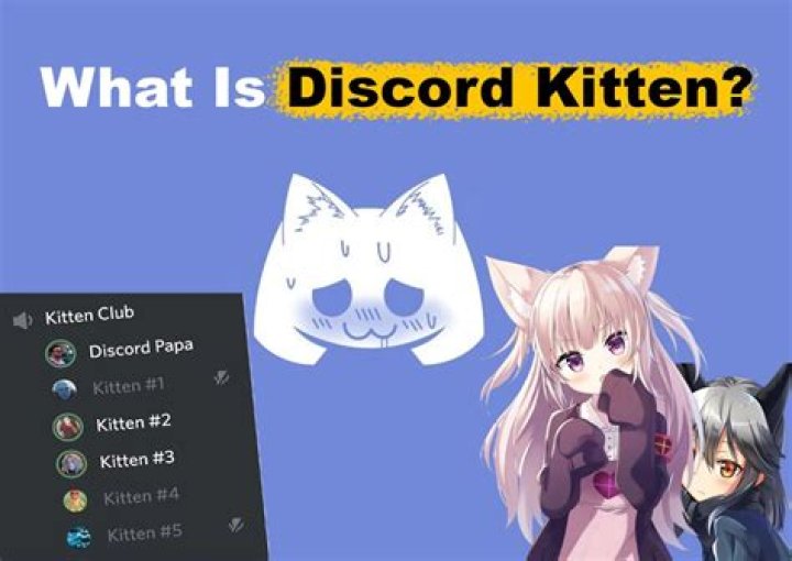 The Ultimate Guide to Discord Kitten Servers