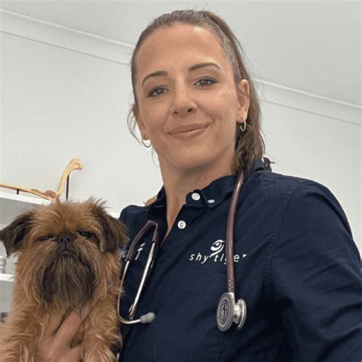 The Ultimate Guide to K9Lady: Your Trusted Pet Care Expert