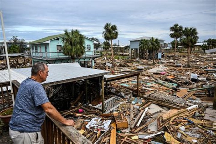 Trees That Survived Hurricanes: Nature's Resilience