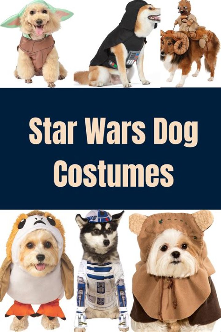 Ultimate Guide to Star Wars Costumes: Unleash Your Inner Jedi or Sith