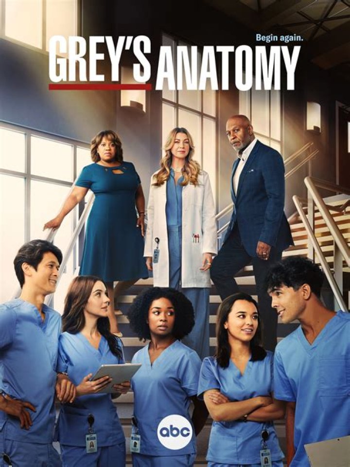 Understanding Izzie Stevens from Grey's Anatomy: A Comprehensive Analysis