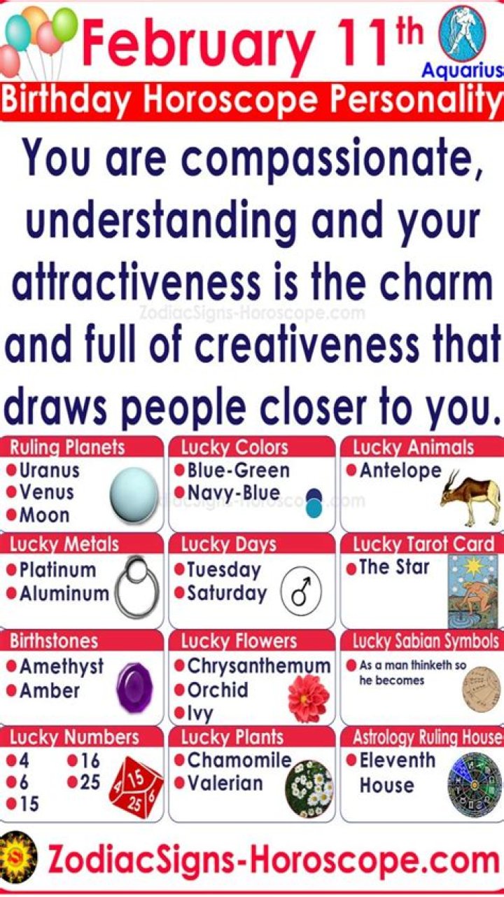 Understanding the February 11th Zodiac: Characteristics, Compatibility, and More