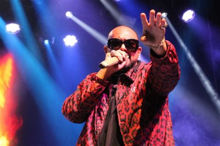 Where is Sean Paul From? An In-Depth Look at the Jamaican Reggae Star